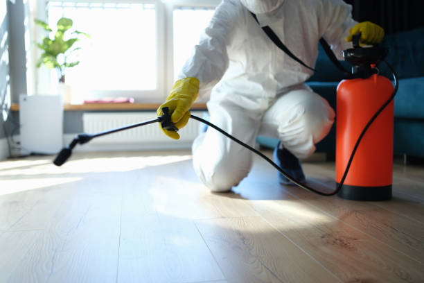 Reliable Odor Removal contractor in Lakeview, WA by Dulley Family Biohazard Services